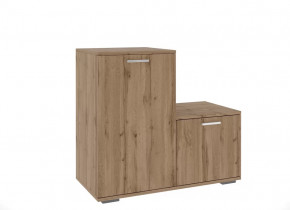 Обувницы в Тобольске