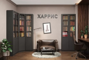 Библиотека Харрис в Тобольске - tobolsk.mebel-tymen.ru | фото