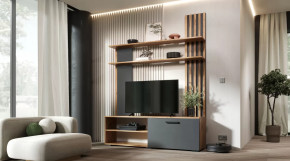 Гостиная Каролина Дуб Вотан/Графит в Тобольске - tobolsk.mebel-tymen.ru | фото