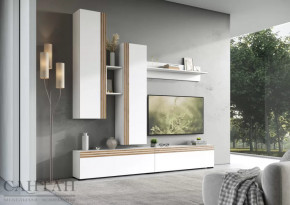 Гостиная НАО-Моно №1 в Тобольске - tobolsk.mebel-tymen.ru | фото