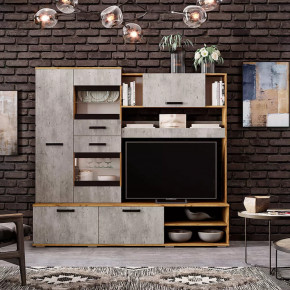 Гостиная Трамп ЦС-05 в Тобольске - tobolsk.mebel-tymen.ru | фото