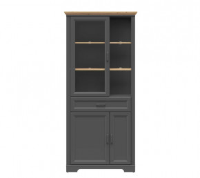 JASMIN шкаф REG1W2D1S (Графит/ Дуб артизан) в Тобольске - tobolsk.mebel-tymen.ru | фото