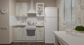 Кухонный гарнитур Алина мини 1000 мм в Тобольске - tobolsk.mebel-tymen.ru | фото