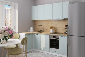 Кухонный гарнитур Лиора прайм 400 1100х2000 мм в Тобольске - tobolsk.mebel-tymen.ru | фото