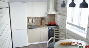 Кухонный гарнитур Ольга мини 2 1000 мм в Тобольске - tobolsk.mebel-tymen.ru | фото