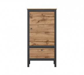 LOFT шкаф REG1D1S/60 (Дуб вотан/Черный) в Тобольске - tobolsk.mebel-tymen.ru | фото