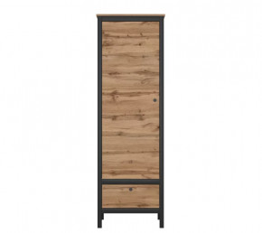 LOFT шкаф REG1D1S (Дуб вотан/Черный) в Тобольске - tobolsk.mebel-tymen.ru | фото