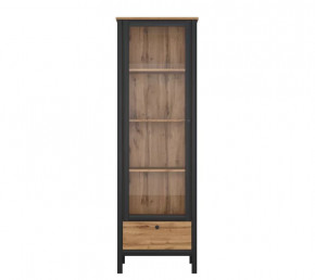 LOFT шкаф REG1W1S (Дуб вотан/Черный) в Тобольске - tobolsk.mebel-tymen.ru | фото