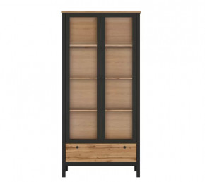 LOFT шкаф REG2W1S (Дуб вотан/Черный) в Тобольске - tobolsk.mebel-tymen.ru | фото