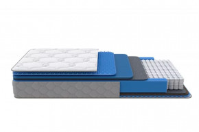 Матрас SS/M (Medium Low Plus) 1600*2000 мм в Тобольске - tobolsk.mebel-tymen.ru | фото