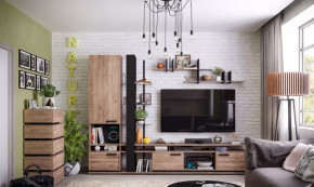 Модульная гостиная Nature в Тобольске - tobolsk.mebel-tymen.ru | фото