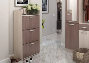 Обувница №2 Дели в Тобольске - tobolsk.mebel-tymen.ru | фото