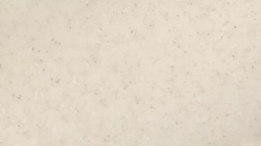 Панель пристенная 6х600х3000 в Тобольске - tobolsk.mebel-tymen.ru | фото