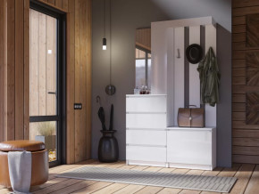 Прихожая Челси белый в Тобольске - tobolsk.mebel-tymen.ru | фото