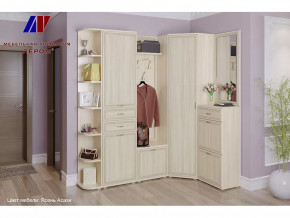 Прихожая Карина набор 5 в Тобольске - tobolsk.mebel-tymen.ru | фото