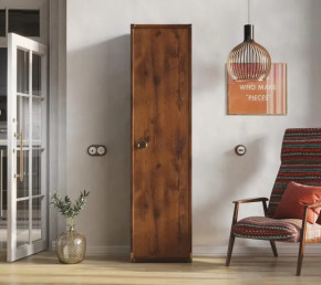 Шкаф JREG 1d Дуб саттер ИНДИАНА в Тобольске - tobolsk.mebel-tymen.ru | фото