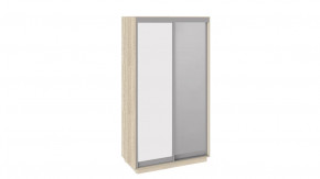 Шкаф-купе 2-х дверный «Румер» в Тобольске - tobolsk.mebel-tymen.ru | фото