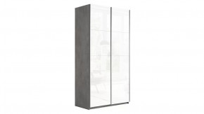 Шкаф-купе 2-х дверный «Траст» в Тобольске - tobolsk.mebel-tymen.ru | фото