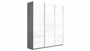 Шкаф-купе 3-х дверный «Траст» в Тобольске - tobolsk.mebel-tymen.ru | фото