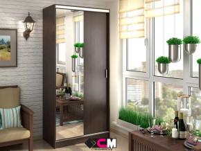 Шкаф-купе Альянс 1000 в Тобольске - tobolsk.mebel-tymen.ru | фото