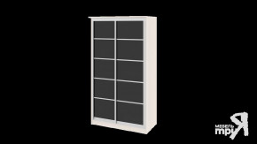 Шкаф-купе «Стэн» СМ-140.01.001 в Тобольске - tobolsk.mebel-tymen.ru | фото