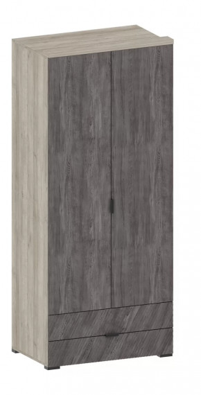 Шкаф Шаде ШК-2905 в Тобольске - tobolsk.mebel-tymen.ru | фото