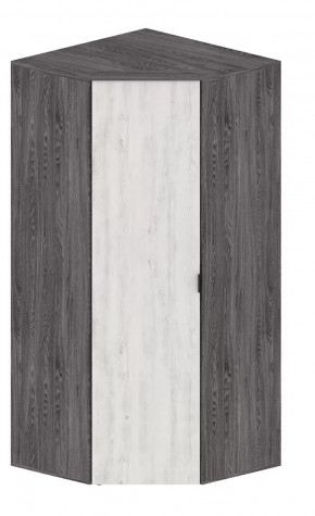 Шкаф Шаде ШК-2910 в Тобольске - tobolsk.mebel-tymen.ru | фото