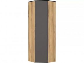 Шкаф угловой без зеркала Ольга-Лофт 9.1 в Тобольске - tobolsk.mebel-tymen.ru | фото