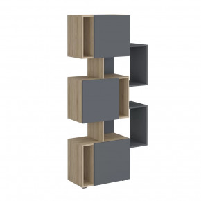 Стеллаж Дублин в Тобольске - tobolsk.mebel-tymen.ru | фото