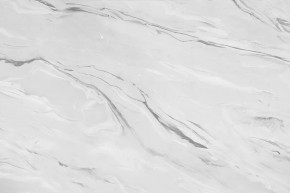 Стеновая панель №43, 3000*600*6 мм, аргус светлый в Тобольске - tobolsk.mebel-tymen.ru | фото