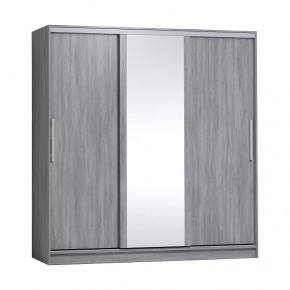 Strike 2000 Шкаф-купе зеркало/лдсп в Тобольске - tobolsk.mebel-tymen.ru | фото