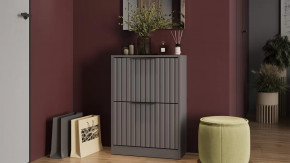 Тумба для обуви «Хилтон» Исп.2 Серый графит, Графит матовый в Тобольске - tobolsk.mebel-tymen.ru | фото