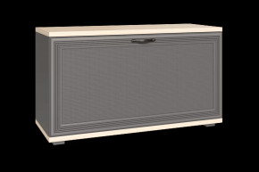 Тумба для обуви ТБ-1041 Карина в Тобольске - tobolsk.mebel-tymen.ru | фото