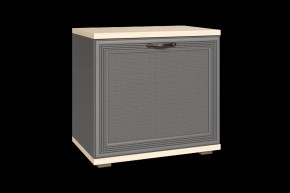 Тумба для обуви ТБ-1042 Карина в Тобольске - tobolsk.mebel-tymen.ru | фото