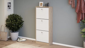 Тумба для обуви «Тетра» Тип 1 Исп. 2 в Тобольске - tobolsk.mebel-tymen.ru | фото