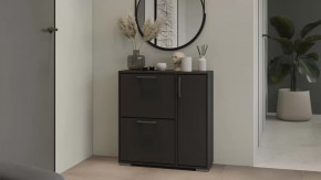 Тумба для обуви Тип 15 Антрацит в Тобольске - tobolsk.mebel-tymen.ru | фото