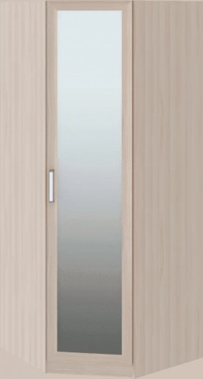 Волкер подростковая М01 Шкаф угловой в Тобольске - tobolsk.mebel-tymen.ru | фото