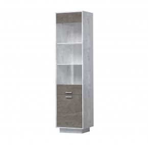 ЭГО ПС-1 Пенал с 2 дверьми 500 мм Диал в Тобольске - tobolsk.mebel-tymen.ru | фото